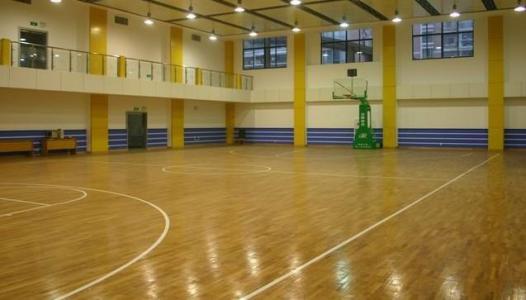 91香蕉在线下载报价